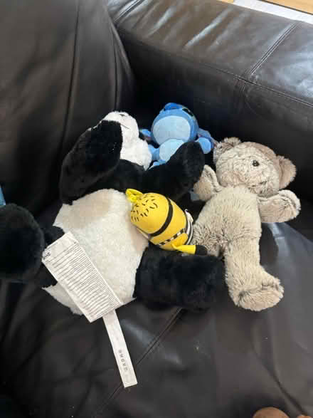 Photo of free Multiple soft toys (IG2) #4