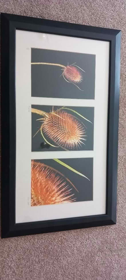 Photo of free Framed photos (Brentry BS10) #1