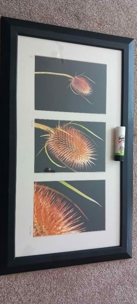 Photo of free Framed photos (Brentry BS10) #4
