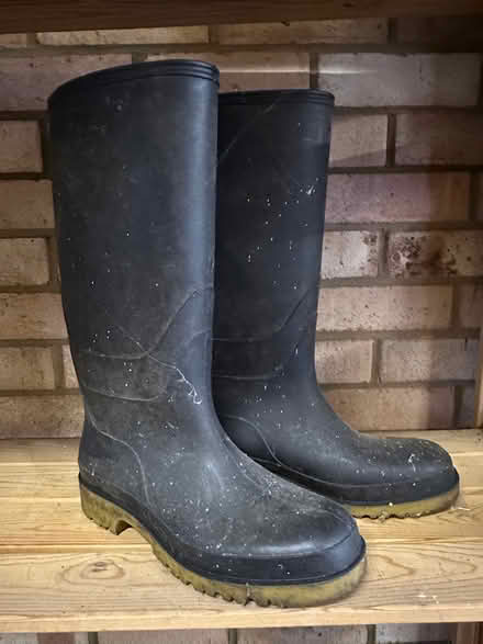 Photo of free Men’s wellington boots (Knotty Green HP9) #1