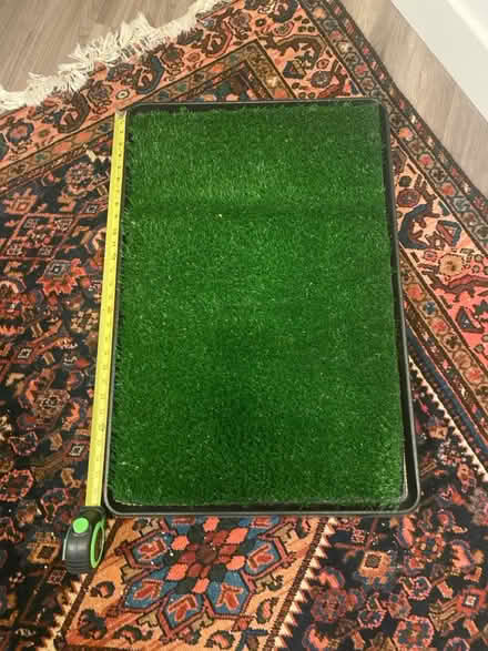 Photo of free New dog pee tray (West End) #1