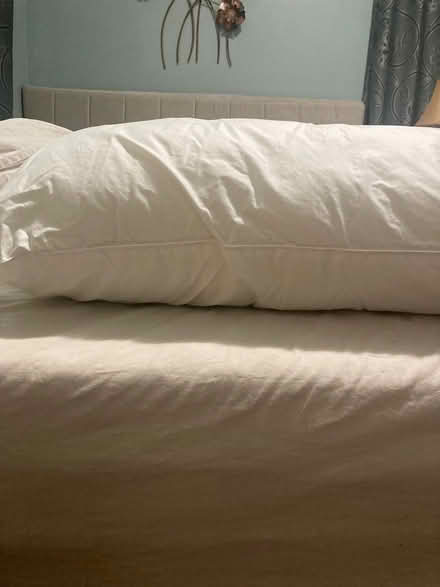 Photo of free King Size pillows (set of 2) (Scaggsville) #1