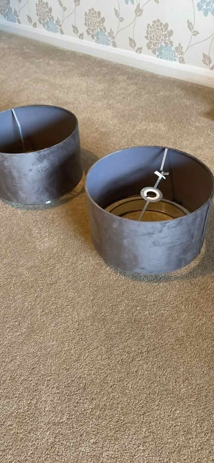 Photo of free Lamp Shades x 2 (TN6 - Crowborough) #1