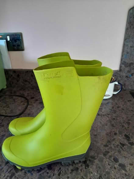 Photo of free Short wellies 2.5/3 (Horsham) #2
