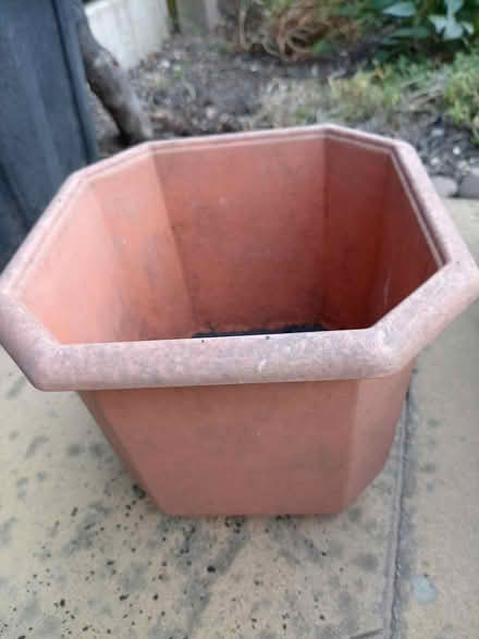 Photo of free 20cm plant pot (Dudley DY3) #1