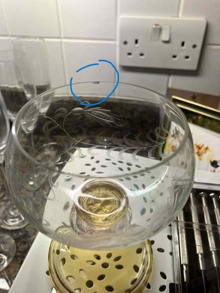 Photo of free Vintage hock glasses (Goffs Oak EN7) #3