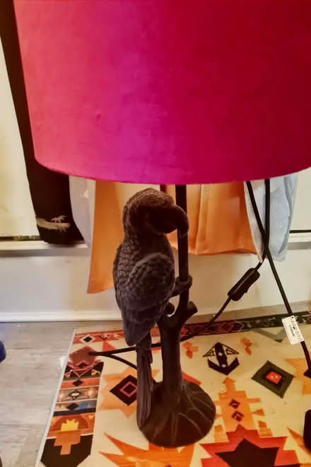 Photo of free Parrot lamp (Harlesden) #1