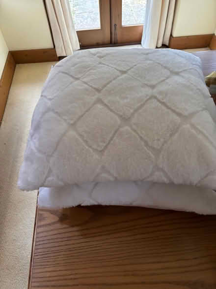Photo of free 8 Cushion Pads and Covers (Romsey) #1