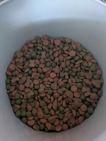 Photo of free Dog food/kibble (Wolverhampton WV3) #1
