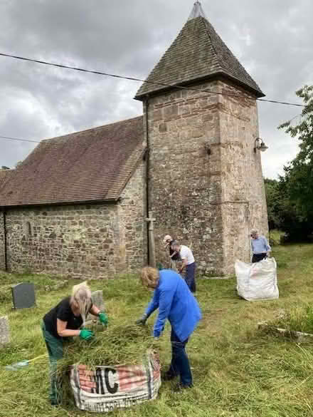Photo of free Green hay Burrington SY8 2HT (Downton SY8) #1