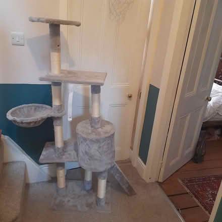 Photo of free Cat tower (Whalley Range M16) #1