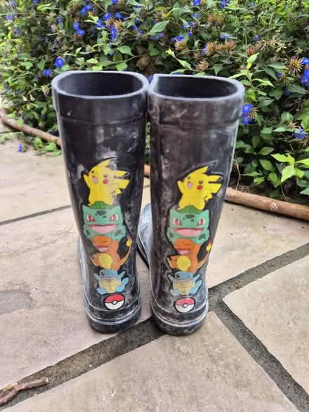 Photo of free Pokemon wellies (Lewes BN7) #2