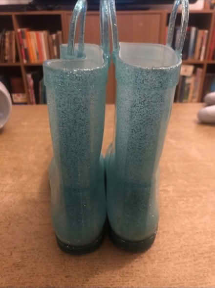 Photo of free Frozen Wellies ❄️ (Cheshunt En8) #2