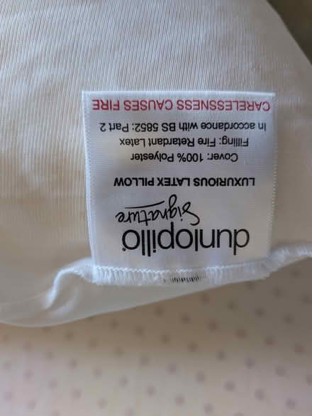 Photo of free Pair of latex pillows (Tasburgh NR15) #1
