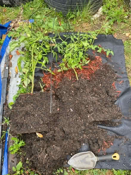 Photo of 5 gallon buckets (Mimico) #1