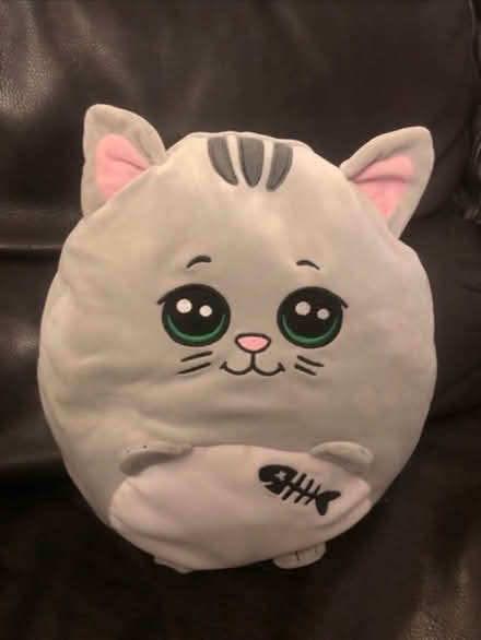 Photo of free Cute kitty cushion (Cheshunt En8) #1