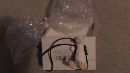 Photo of free "swinging duck" (St Albans AL4) #1