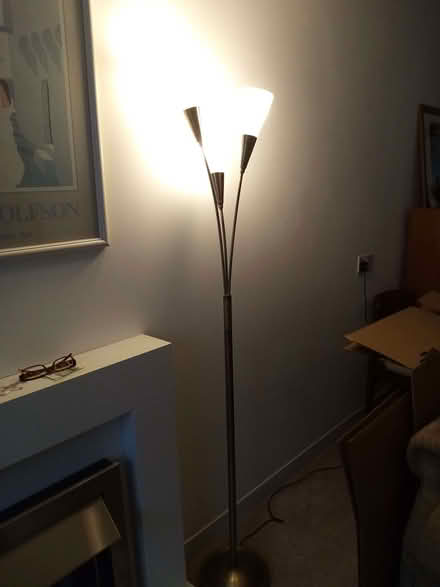 Photo of free Modern standard lamp (Paignton TQ3) #2