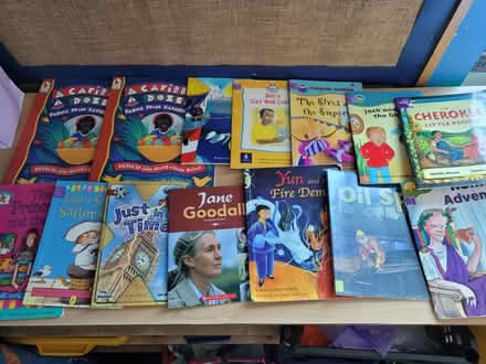 Photo of free Reading books for key stage 1 (Selston NG16) #1