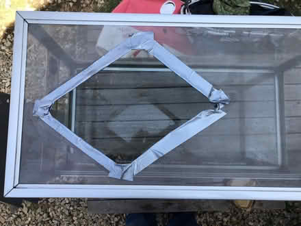 Photo of free vivarium (Evercreech, BA4) #2