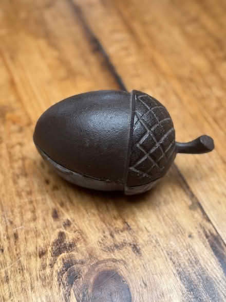 Photo of free Garden acorn (Wood Green N22) #1