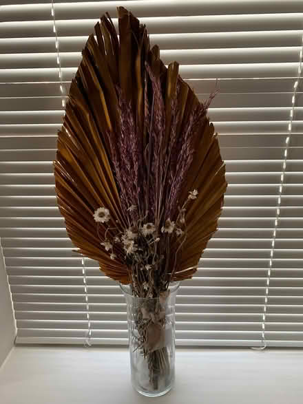 Photo of free Decoration from Anthropology (Ashburn) #1