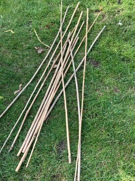 Photo of free Thin canes (Letchworth wilbury) #1