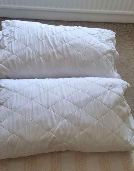 Photo of free 2 pillows (Prenton CH43) #1