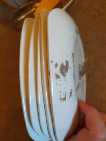 Photo of free 5 X small plates (Sutton in Ashfield NG17) #2