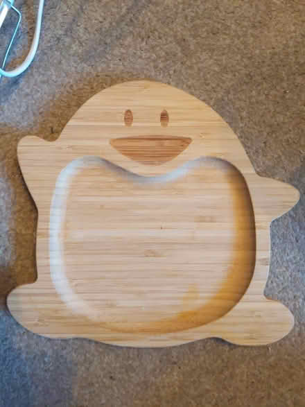 Photo of free penguin serving plate (Sutton in Ashfield NG17) #1