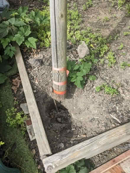 Photo of free Child's Swing (S10 Crookesmoor) #4