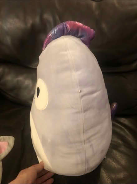 Photo of free Large Squishmallow (Cheshunt En8) #2
