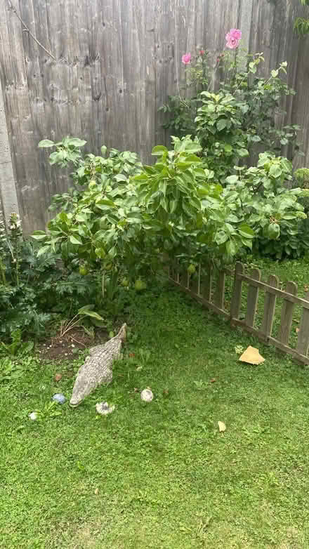 Photo of Garden post (Bounds Green N11) #2