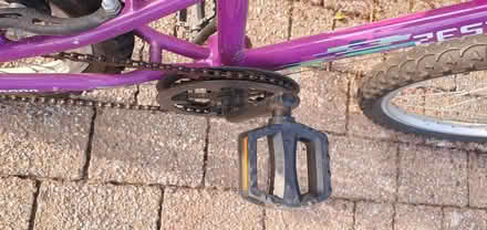 Photo of free Girl's bike 20 inch (IP4) #3