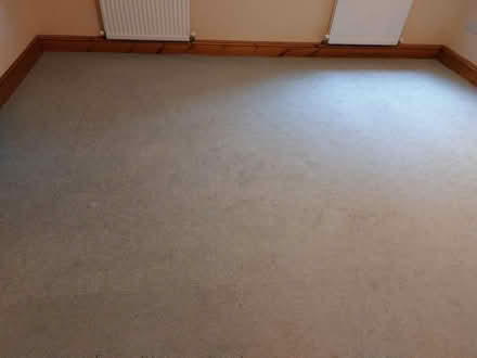 Photo of free Large pale green carpet (NR11) #1