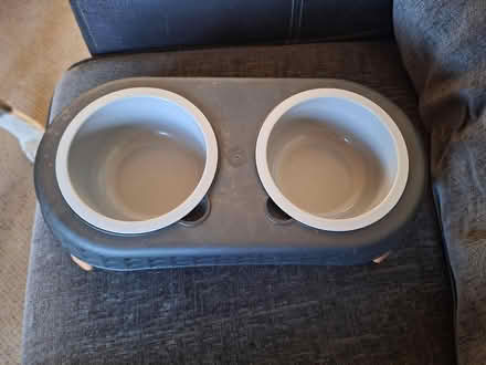 Photo of free Dog feeder (Allesley Park CV5) #1