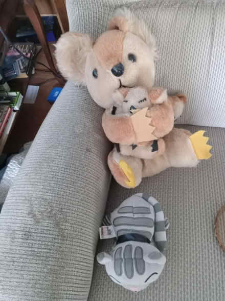 Photo of free Variey of items (south keys - elmvale) #1