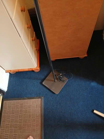 Photo of free Floor lamp (Deepcar S36) #2