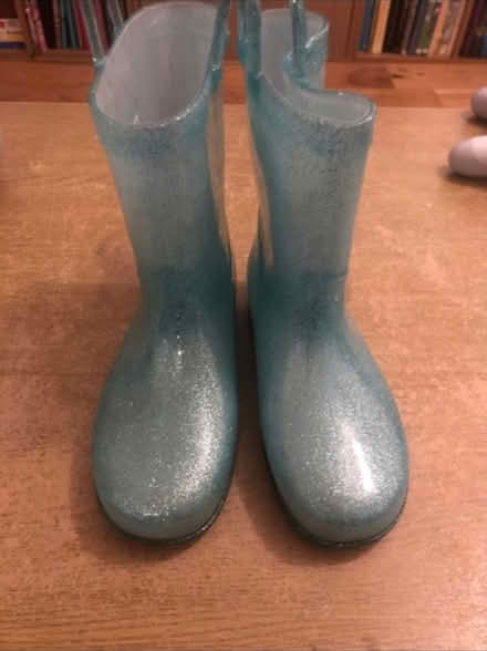 Photo of free Frozen Wellies ❄️ (Cheshunt En8) #3
