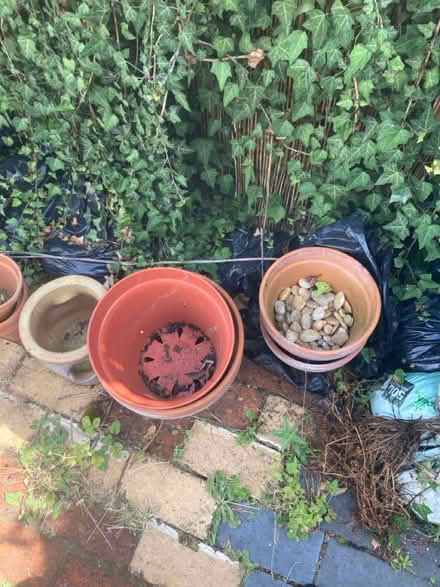 Photo of free Flower pots (RG1) #2