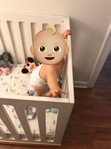 Photo of free Oeuf Crib/Toddler Bed & Mattress (Rte 20 & County Rte 5) #2
