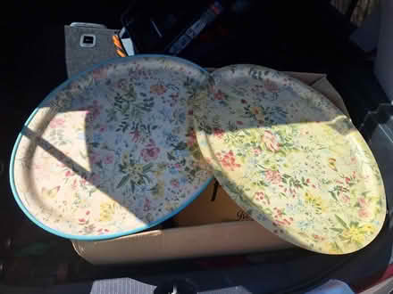 Photo of free 2 large trays (Forestgreen) #1