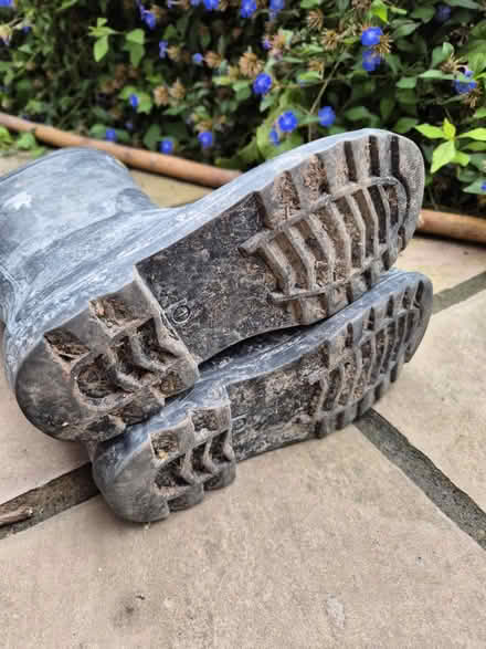 Photo of free Pokemon wellies (Lewes BN7) #3