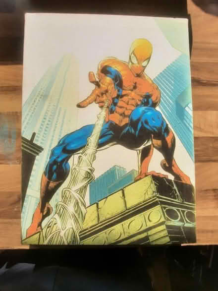 Photo of free Spiderman Canvas Print (Horsforth LS18) #1