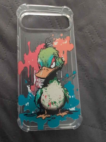 Photo of free Google Pixel 9 pro case (Elgin) #1