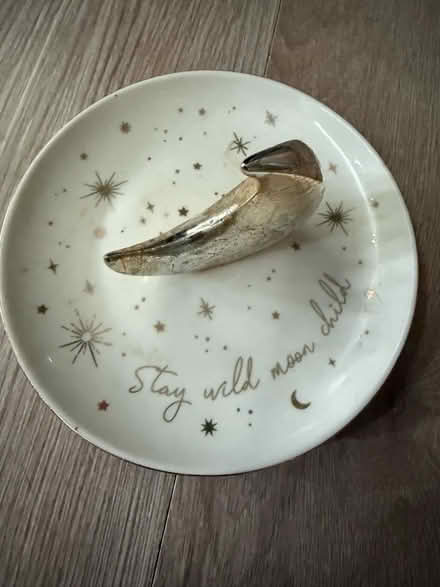 Photo of free Stay wild moon child jewellery dish (Oswestry SY11) #1
