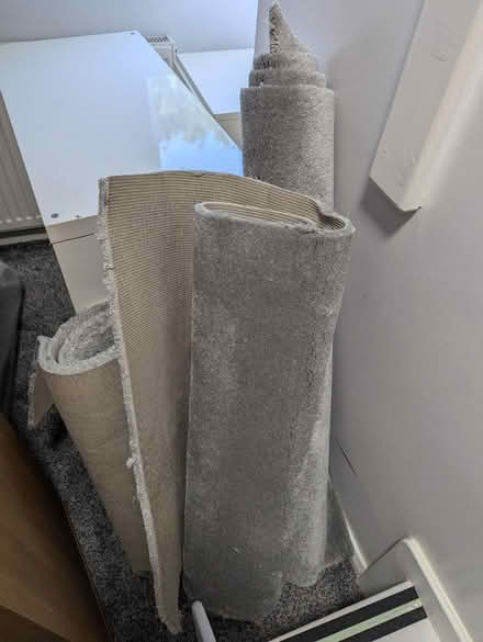 Photo of free Carpet off cuts (Lowedges S8) #1