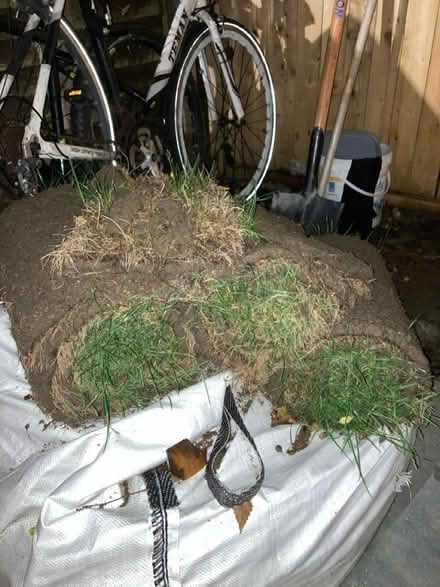 Photo of free 3x Grass Rolls (Dublin) #1