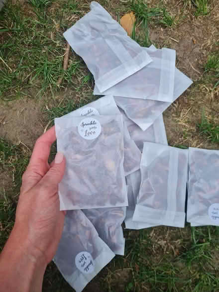 Photo of free Rose petals (Wokingham RG40) #4