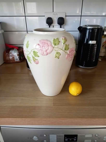 Photo of free Large Vase (Roundhill area brighton) #1